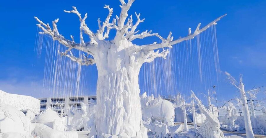 Pattaya: Frost Magical Ice of Siam Entry Ticket - From tropical heat to a frozen Thai fantasy