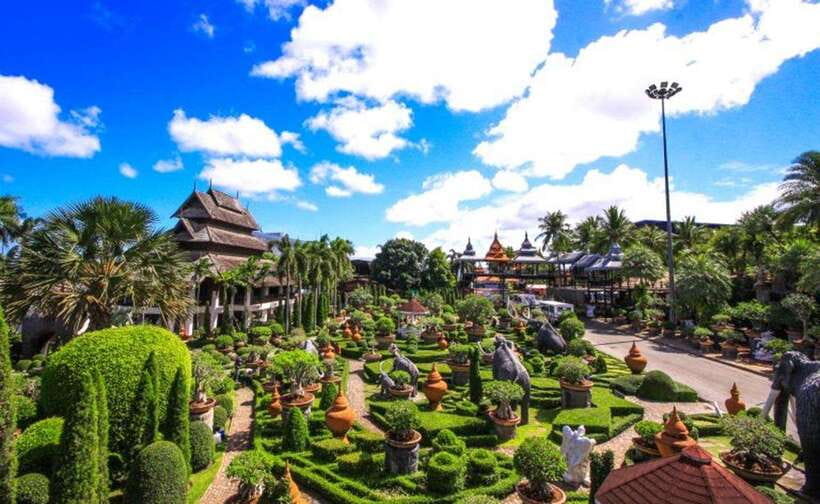 Pattaya: Nong Nooch Tropical Garden Ticket for Foreigners - The Cycad Gene Bank gives the garden a purpose