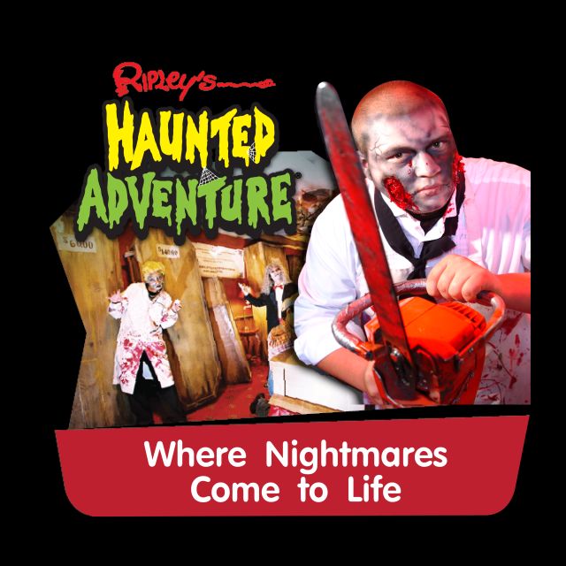 Pattaya: Ripley’s Believe It or Not! Entry Ticket - The Odditorium, where the strange takes center stage