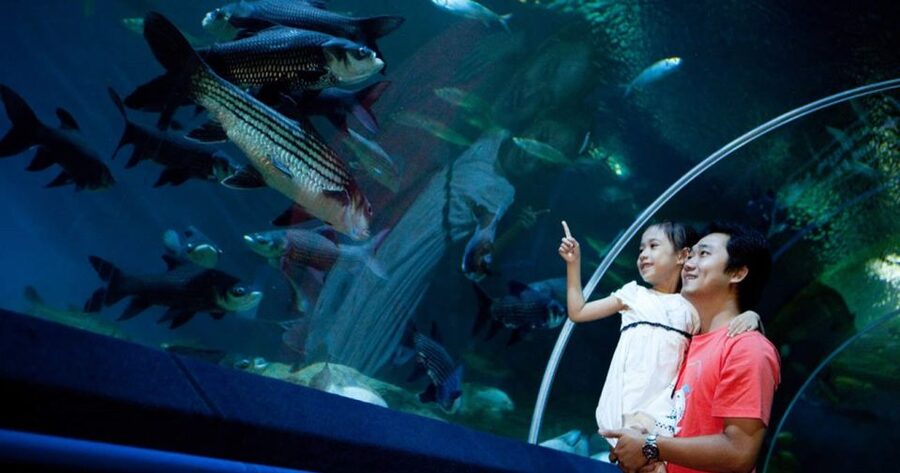 Pattaya: Underwater World Pattaya Aquarium Admission Ticket - Walking beneath Pattaya’s sea life