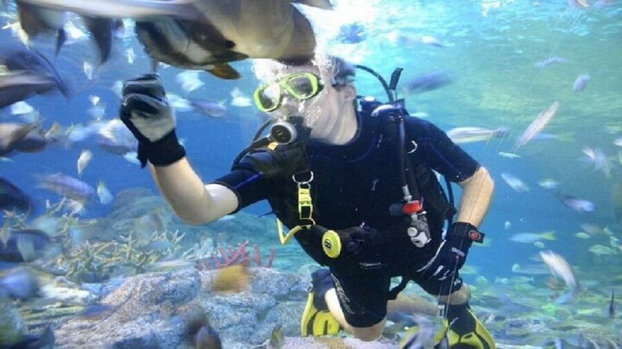 Pattaya: Underwater World Pattaya Aquarium Admission Ticket - The Touch Pool Zone for hands-on learning