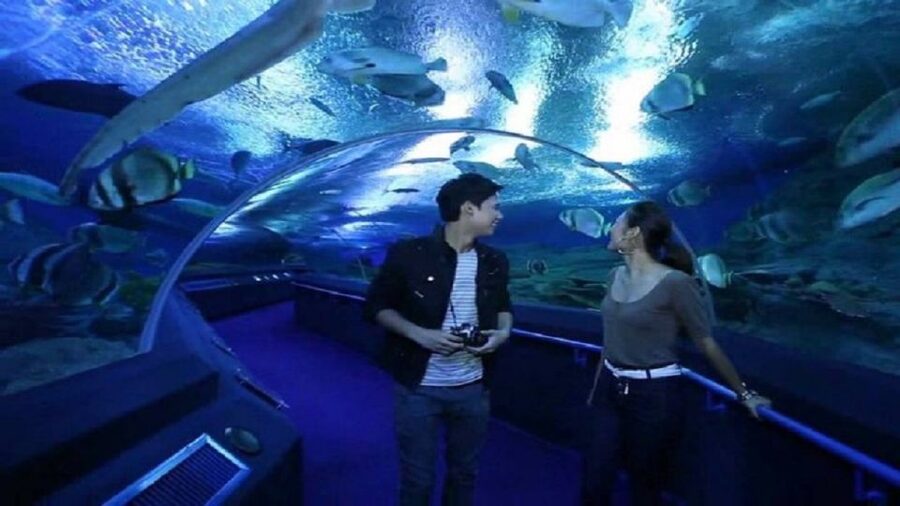 Pattaya: Underwater World Pattaya Aquarium Admission Ticket - Is the $8 ticket good value?