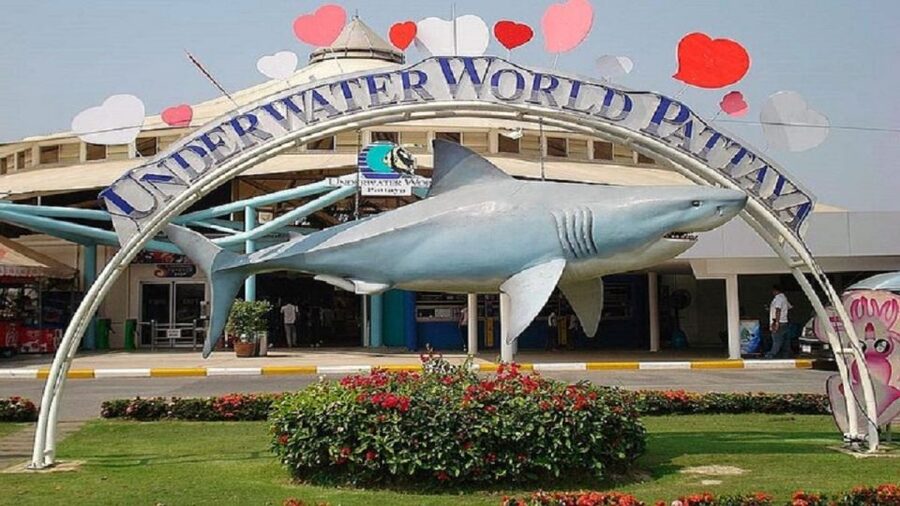 Pattaya: Underwater World Pattaya Aquarium Admission Ticket - Timing your visit in Pattaya