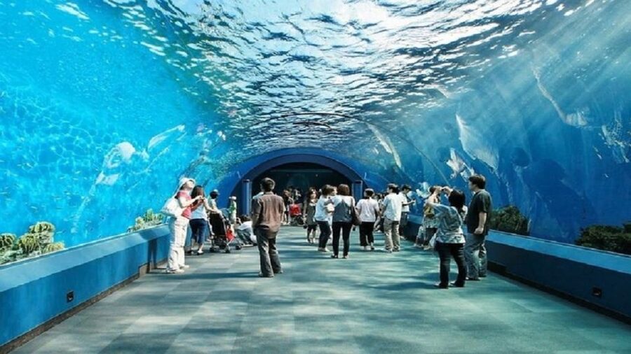 Pattaya: Underwater World Pattaya Aquarium Admission Ticket - The important voucher and ID warning