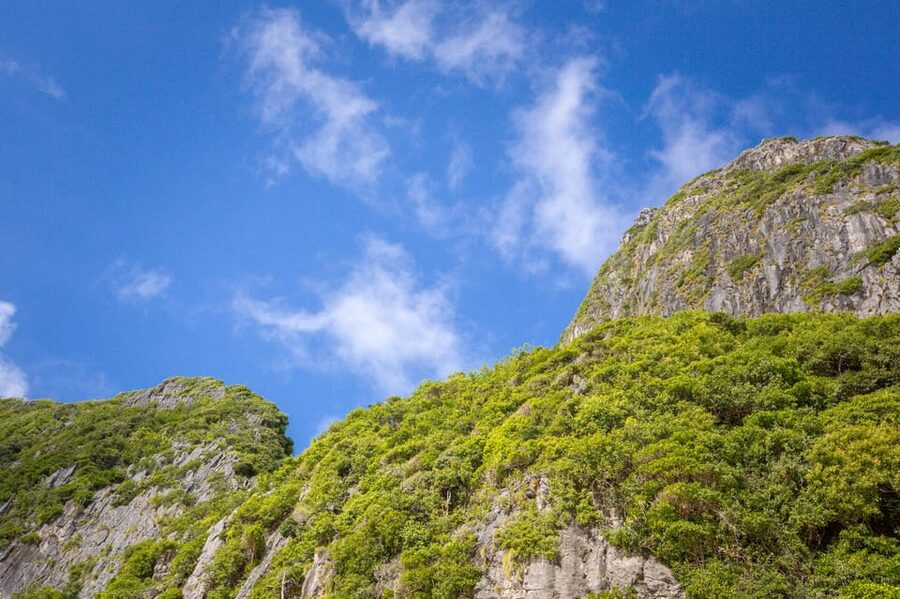 Phi Phi: 7 Island Day Tour by Longtail Boat - Loh Samah Bay and the route to Maya Bay