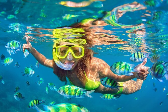 Phi Phi & Bamboo Islands Snorkeling Tour with Lunch by Speedboat - A full day from Phuket to the Phi Phi Islands