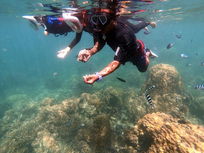 Phi Phi: Half-Day Phi Phi Snorkeling Trip by Longtail Boat - Pi Leh Lagoon, enclosed by limestone walls