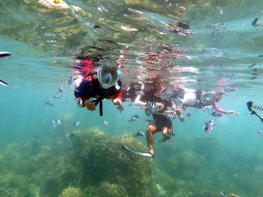 Phi Phi: Half-Day Phi Phi Snorkeling Trip by Longtail Boat - Timing, comfort, and who should skip it