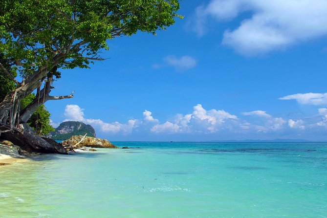 Phi Phi & Maya Bay Speedboat: All-Day Food & Choice of 3 Marinas - Loh Samah Bay and the snorkeling stops