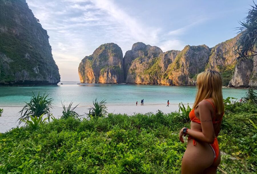 Phi Phi: Morning Speedboat Tour to Maya Bay with Snorkel - Snorkeling with reef fish and blacktip sharks