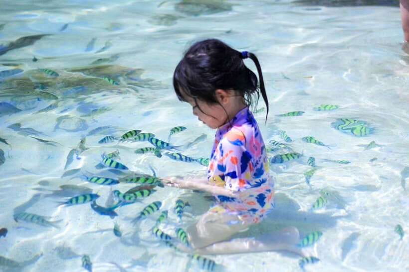 Phuket: 3 Khai Islands Relax & Snorkeling Half/Full Day Tour - My practical packing list
