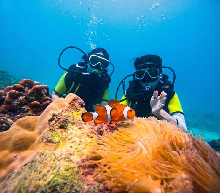 Phuket: 3 Khai Islands Speedboat Tour- Snorkeling & Relaxing - What makes this Khai Islands trip worth considering