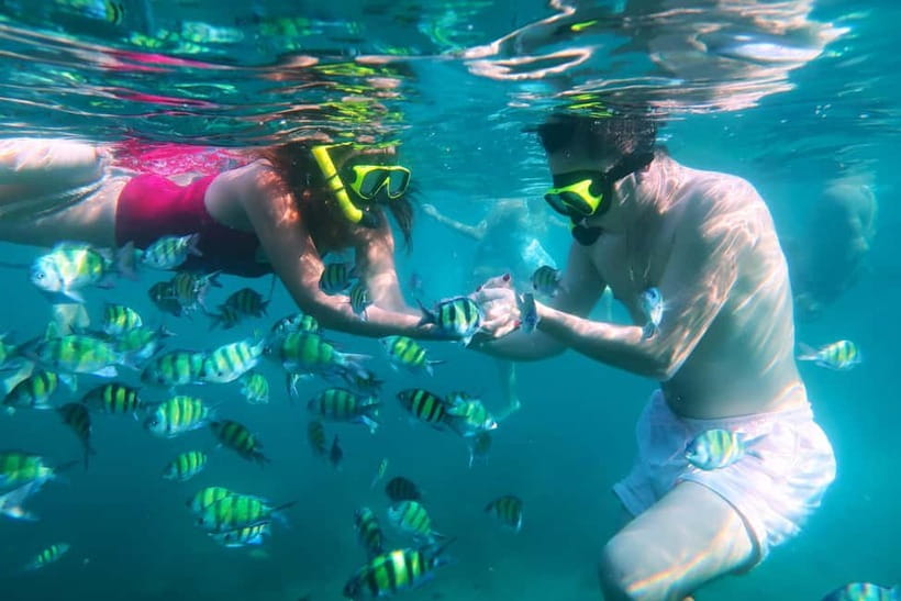 Phuket: 3 Khai Islands Speedboat Tour- Snorkeling & Relaxing - Khai Nok: the easy first island