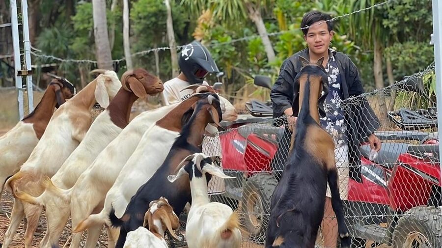 Phuket: ATV Ride with Secret Sea Viewpoints and Swing - Staff Support Makes a Difference