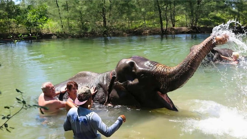 Phuket: Bamboo Rafting & ATV Ride (Optional) - Sea turtles at the conservation centre