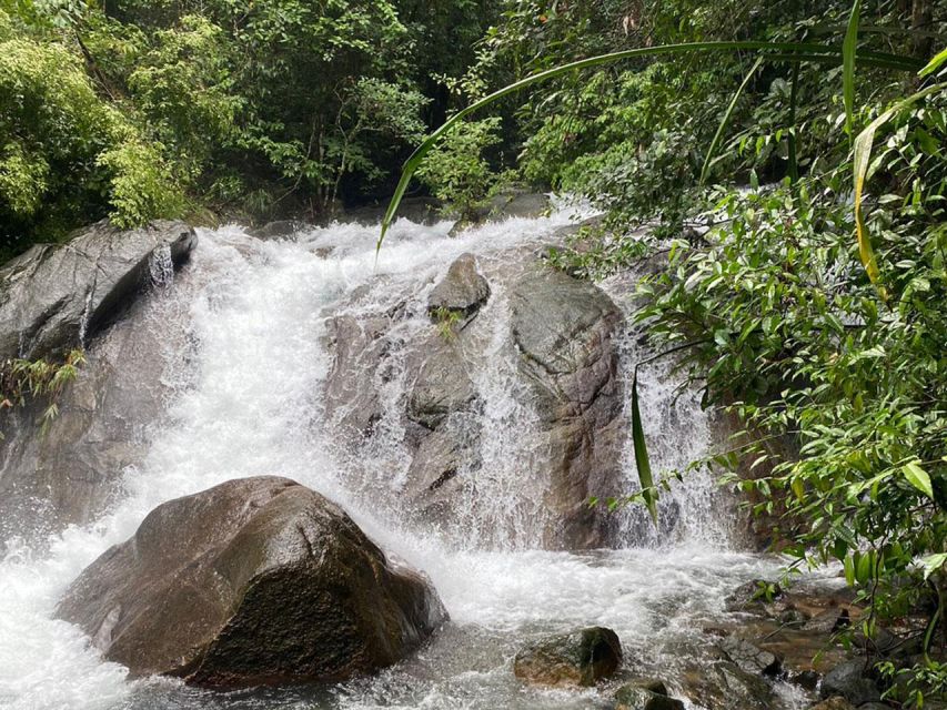 Phuket: Bamboo Rafting, Monkey Cave, and ATV Option - The elephant warning you should not skip