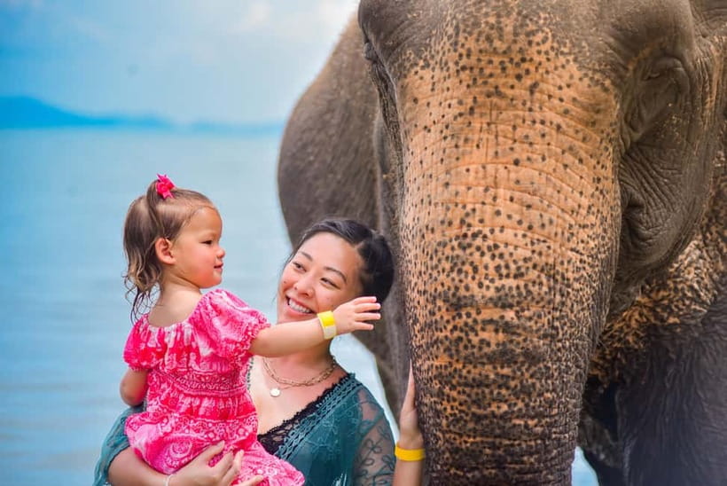 Phuket:Beach walk with elephants, rain & care. 2.5 hours - Key points to know before you book