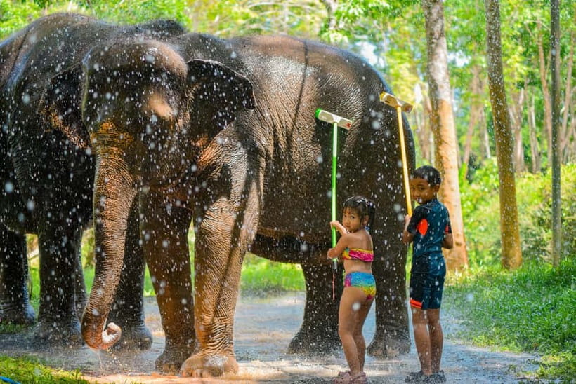 Phuket:Beach walk with elephants, rain & care. 2.5 hours - Is $59 good value for Phuket?