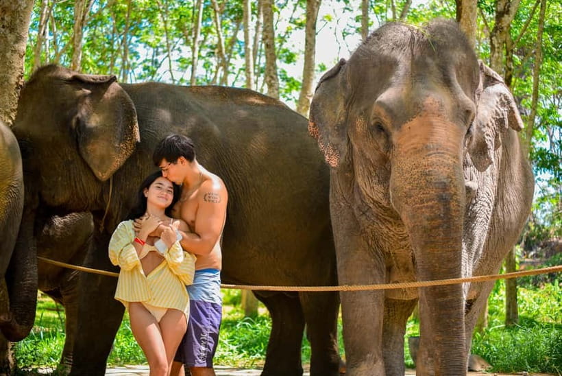 Phuket:Beach walk with elephants, rain & care. 2.5 hours - Why the beach setting changes the elephant experience
