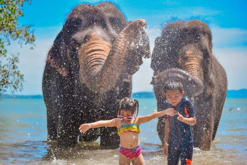 Phuket:Beach walk with elephants, rain & care. 2.5 hours - A short lesson before you meet the elephants