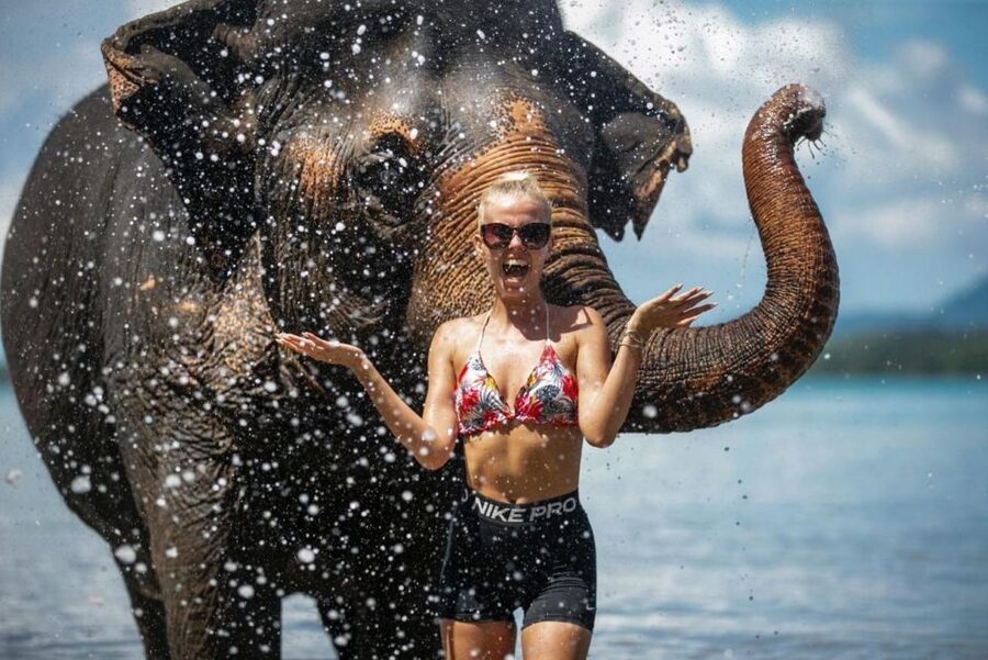 Phuket:Beach walk with elephants, rain & care. 2.5 hours - Feeding elephants in their natural habitat