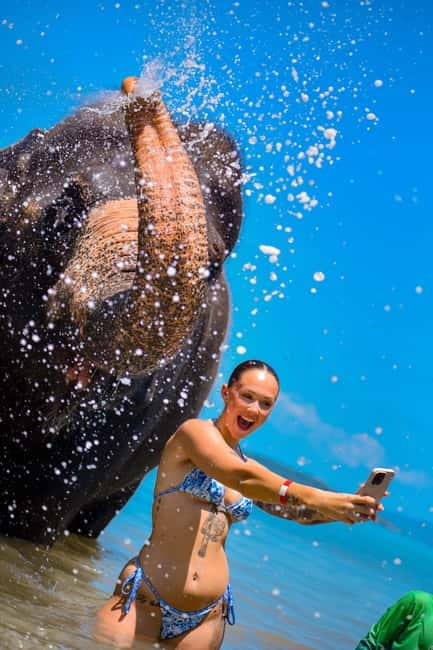 Phuket:Beach walk with elephants, rain & care. 2.5 hours - The 15 to 20 minute walk toward the coast