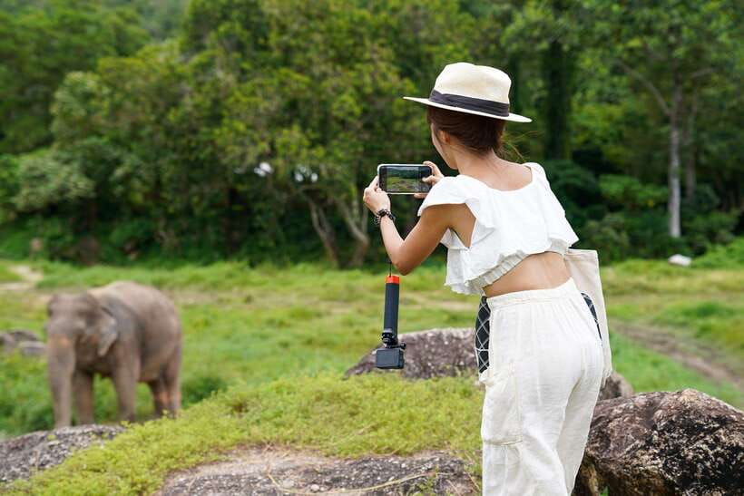 Phuket: Bukit Elephant Park Sanctuary Walk and Feed Tour - Making rice balls with fruit