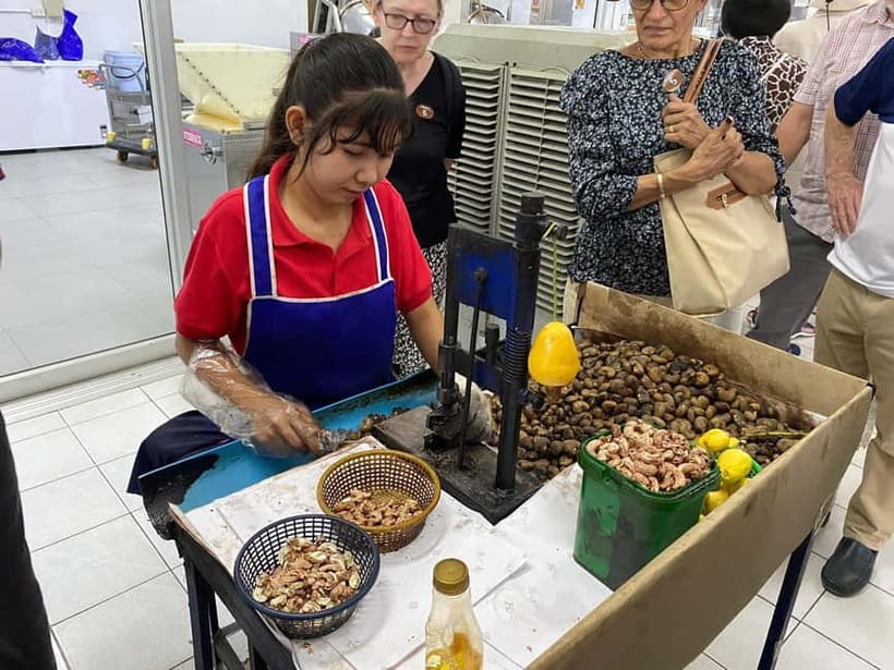 Phuket City Tour with Night Market Visit & Elephant Feeding - Why this six-hour Phuket tour works