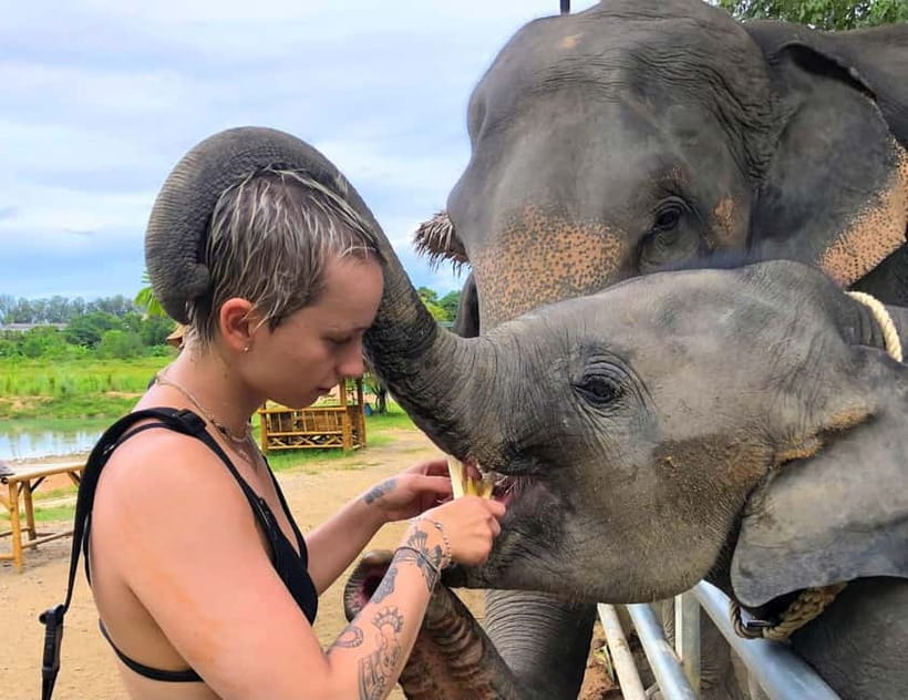 Phuket City Tour with Night Market Visit & Elephant Feeding - Wat Chalong and Phuket’s spiritual side