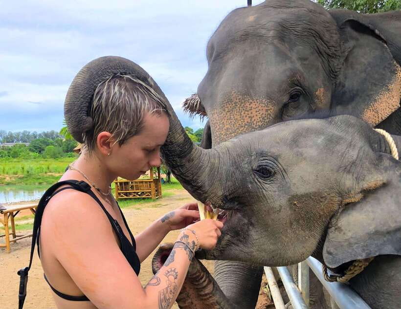Phuket City Tour with Viewpoints, Temples & Elephant Feeding - Who will get the most from this tour?