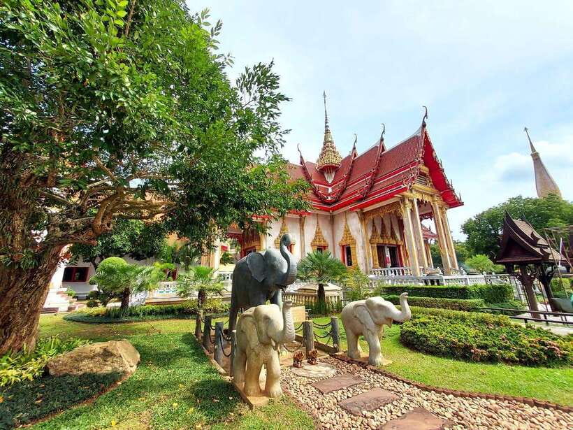 Phuket City Tour with Viewpoints, Temples & Elephant Feeding - Khao Rang Hill and a chance to spot monkeys