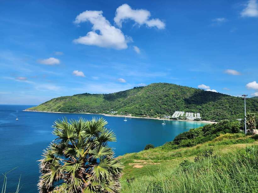 Phuket City Tour with Viewpoints, Temples & Elephant Feeding - Phuket Old Town in 90 minutes