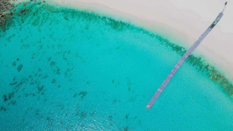 Phuket: Coral & Racha Islands Day Trip By Speedboat - Who will enjoy this island day most?