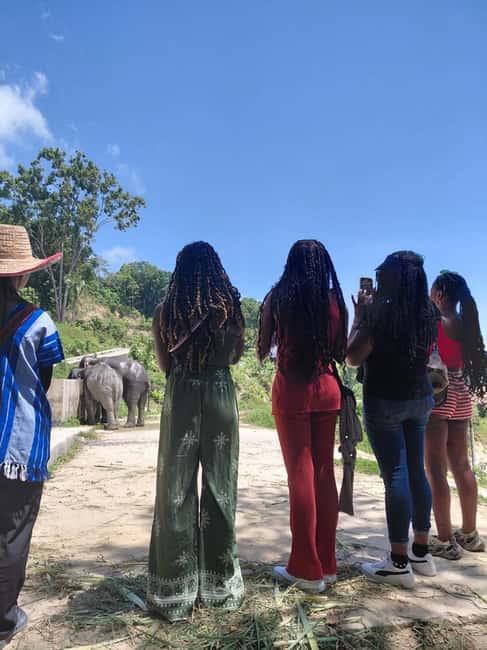Phuket: Eco Guided Tour at Elephant Sanctuary - Key points to know before booking