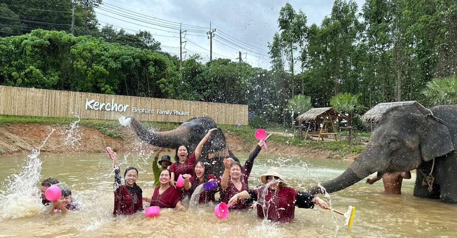Phuket: Elephant Experience with Lunch or Dinner and Pickup - A jungle walk with the elephants