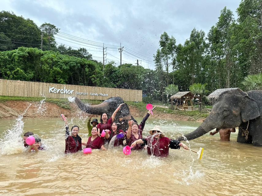 Phuket: Elephant Experience with Lunch or Dinner and Pickup - The mud spa and elephant bathing session
