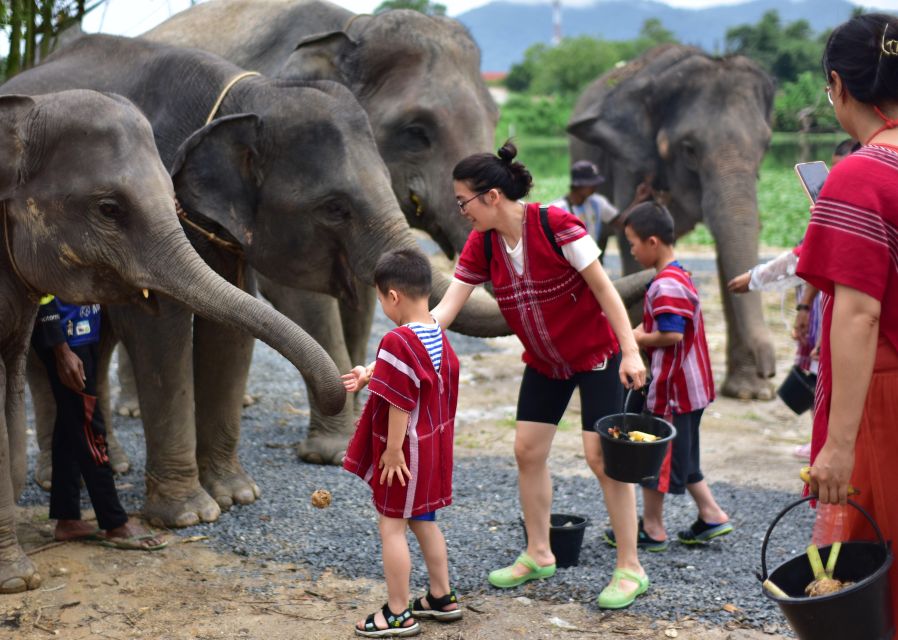 Phuket: Elephant Experience with Lunch or Dinner and Pickup - Tie-dye, herbs, and Karen culture