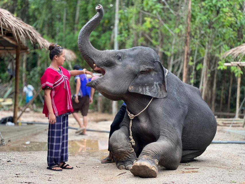 Phuket: Elephant Experience with Lunch or Dinner and Pickup - Thai buffet lunch or dinner