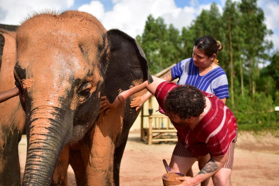 Phuket: Elephant Experience with Lunch or Dinner and Pickup - How the Phuket transfers affect the day