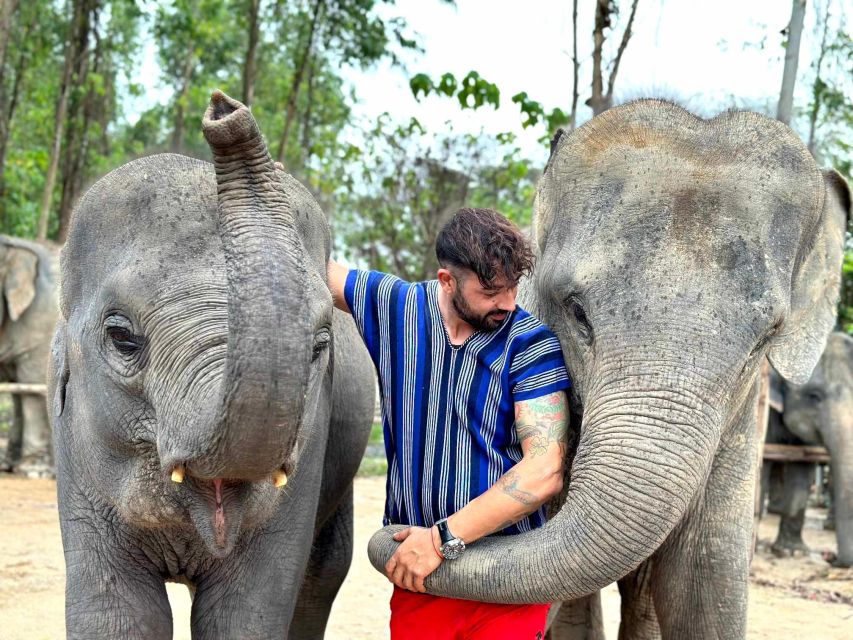 Phuket: Elephant Experience with Lunch or Dinner and Pickup - Feeding time, including a baby elephant