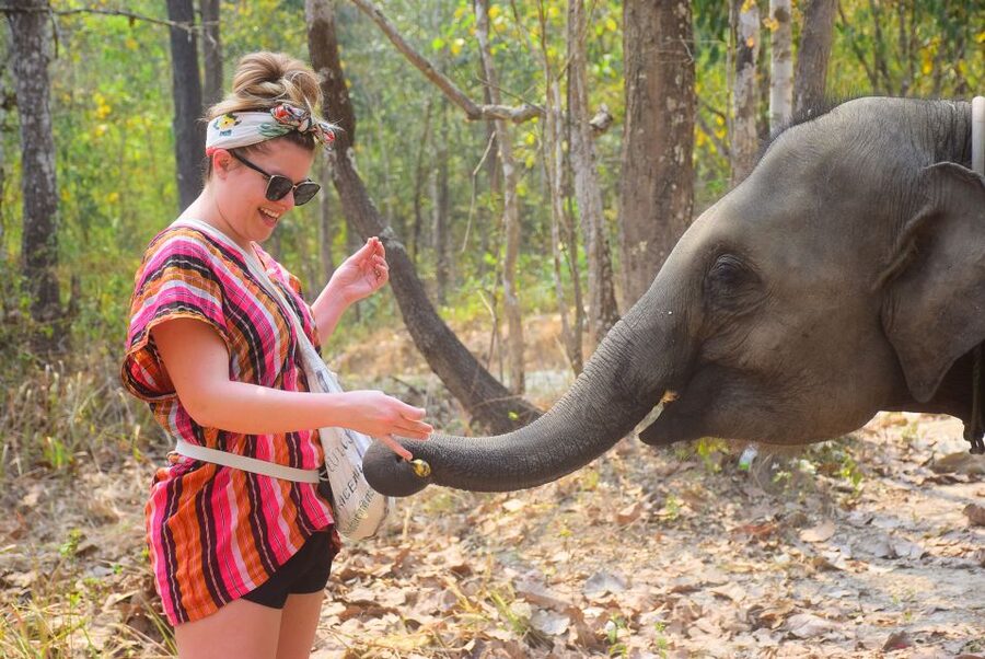 Phuket: Elephant Feeding Program - The 10-minute elephant briefing