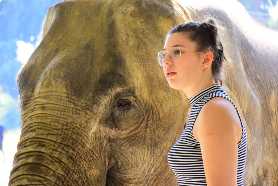 Phuket: Elephant Feeding Program - Preparing food before the feeding