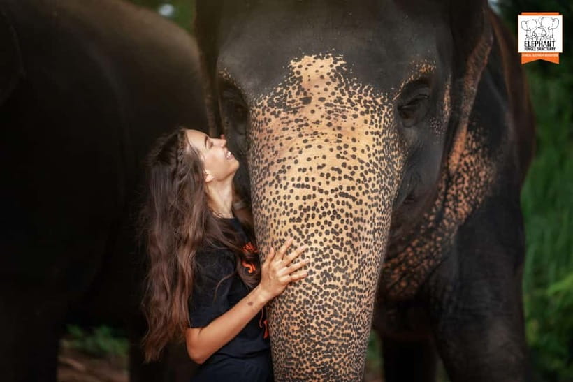 Phuket: Elephant Jungle Sanctuary Ethical Feeding Experience - Feeding fruit, grass, and banana leaves