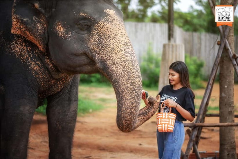Phuket: Elephant Jungle Sanctuary Ethical Feeding Experience - Photos without turning the visit into a photo shoot