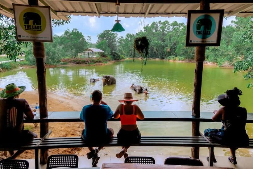 Phuket: Elephant Sanctuary Feed and Bathe Gentle Giants - Booking flexibility and practical details
