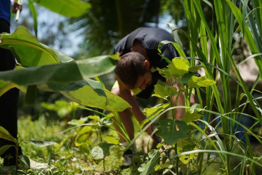 Phuket: Elephant Sanctuary Guided Tour with Hotel Transfers - Booking tips for a smoother visit