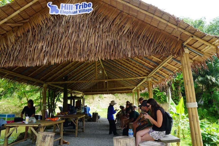 Phuket: Elephant Sanctuary Guided Tour with Hotel Transfers - Why the no-riding policy matters