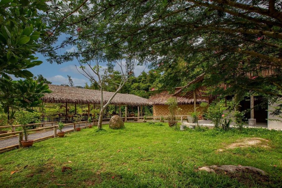 Phuket: Elephant Sanctuary Guided Tour with Hotel Transfers - A good value at $41, with one important limit