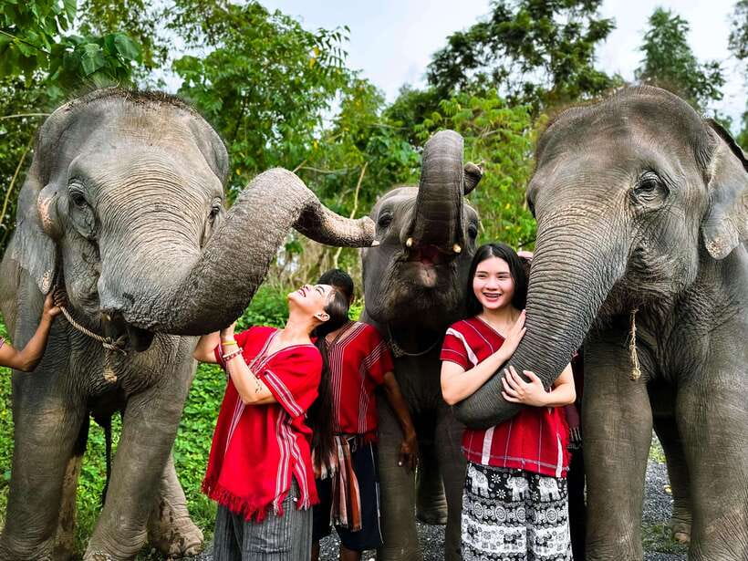 Phuket : Experience feeding and bathing elephants 1.5 Hrs. - Preparing food and feeding the elephants