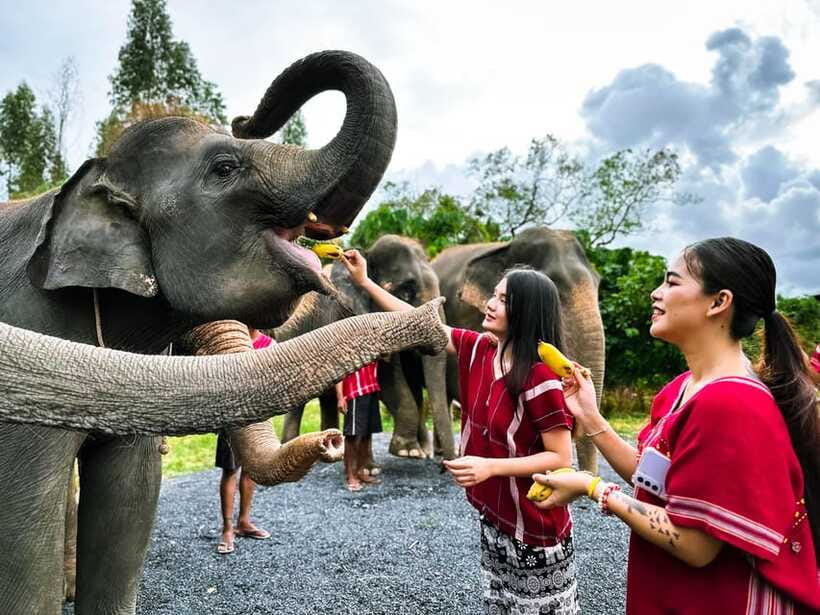 Phuket : Experience feeding and bathing elephants 1.5 Hrs. - Guides, culture, and the camp atmosphere
